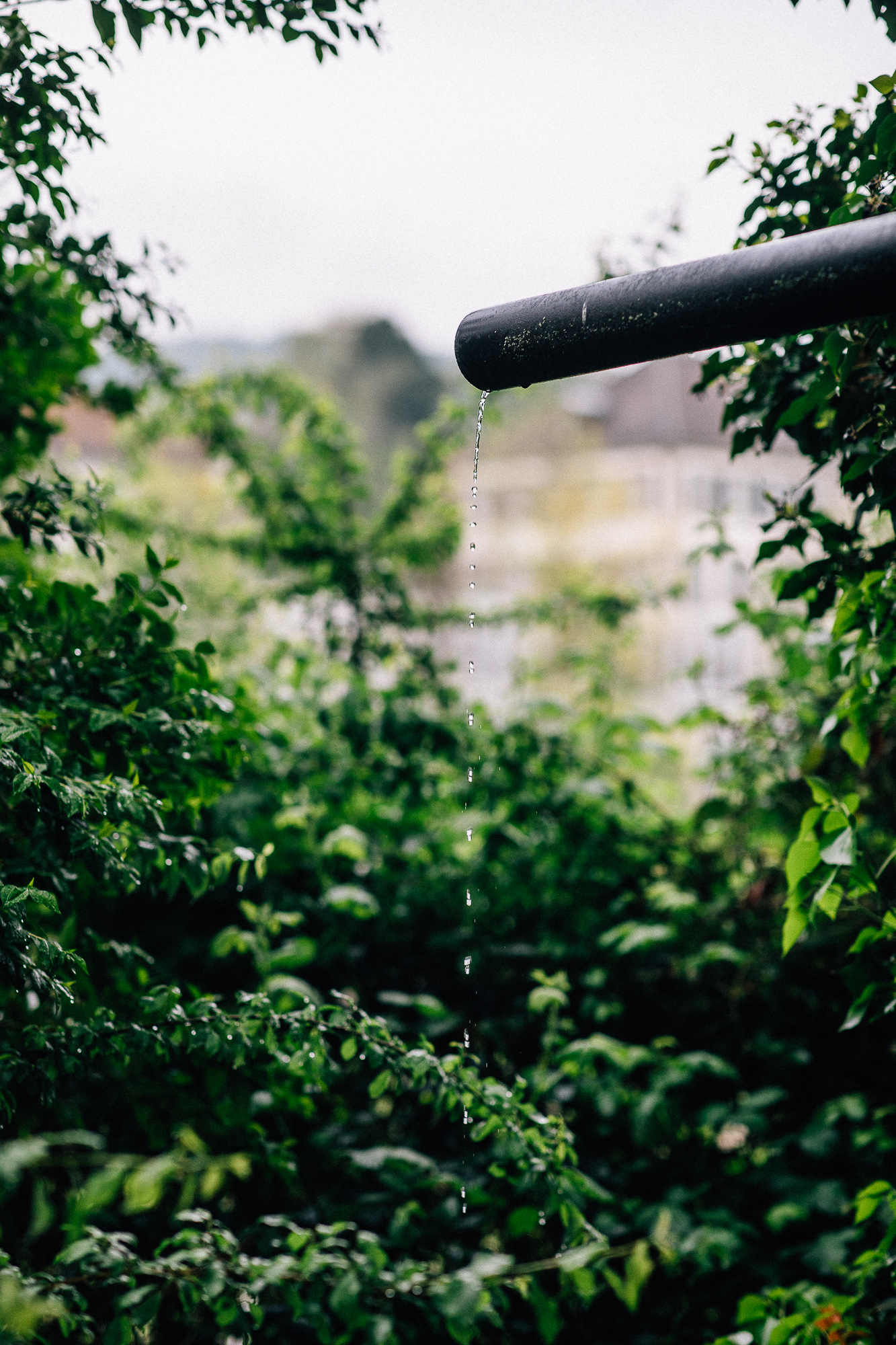 Export x3 5D4 7064 Businessauftrag 0012 2019 RohmbergBau