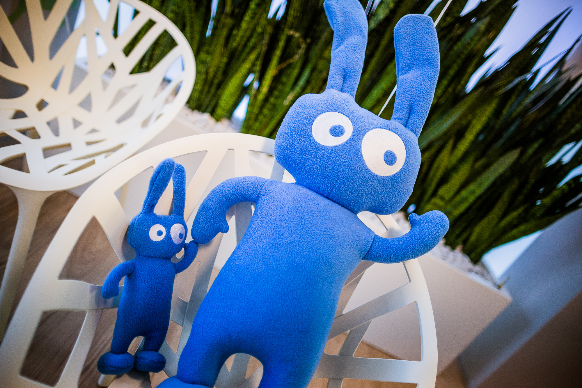 Export x3  DX 7367  accepted pictures