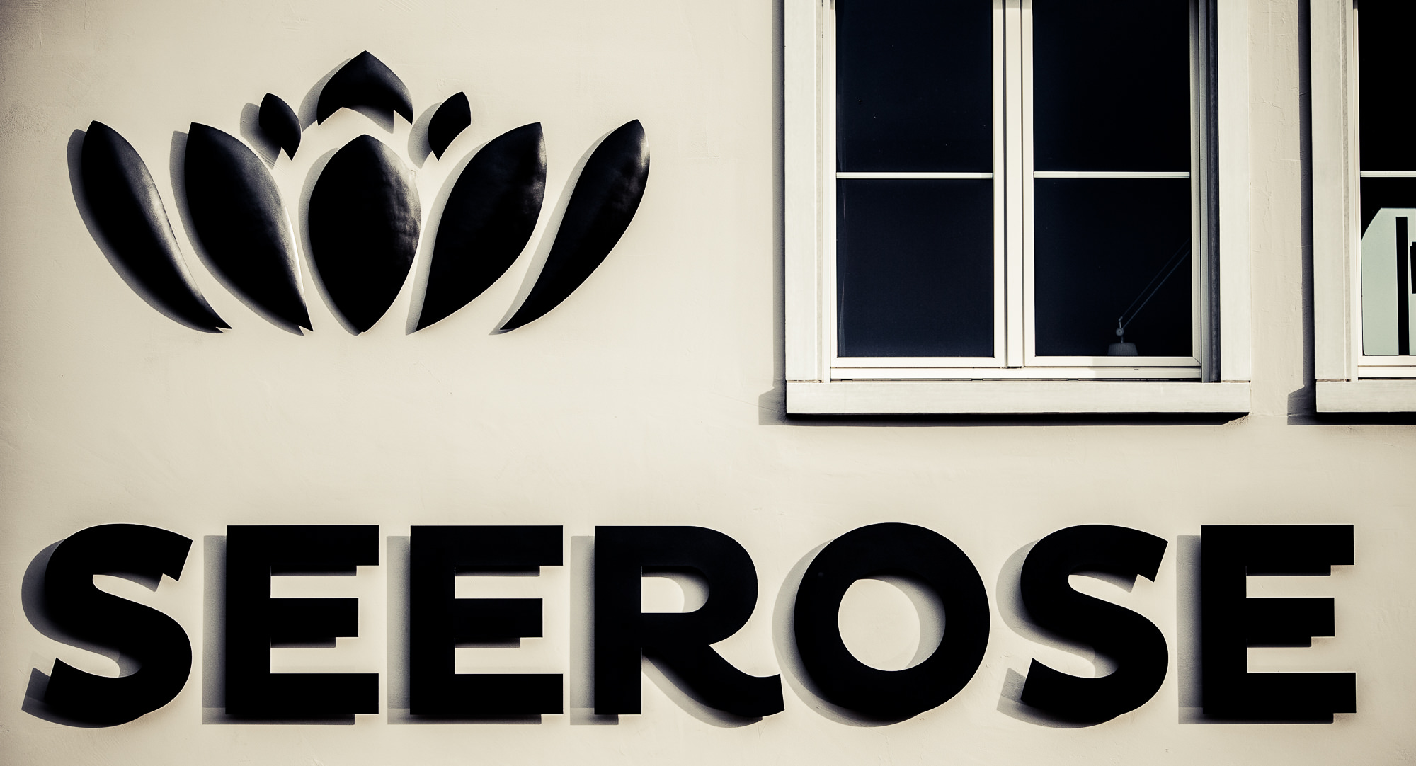 Export x3  DX 3915  accepted pictures