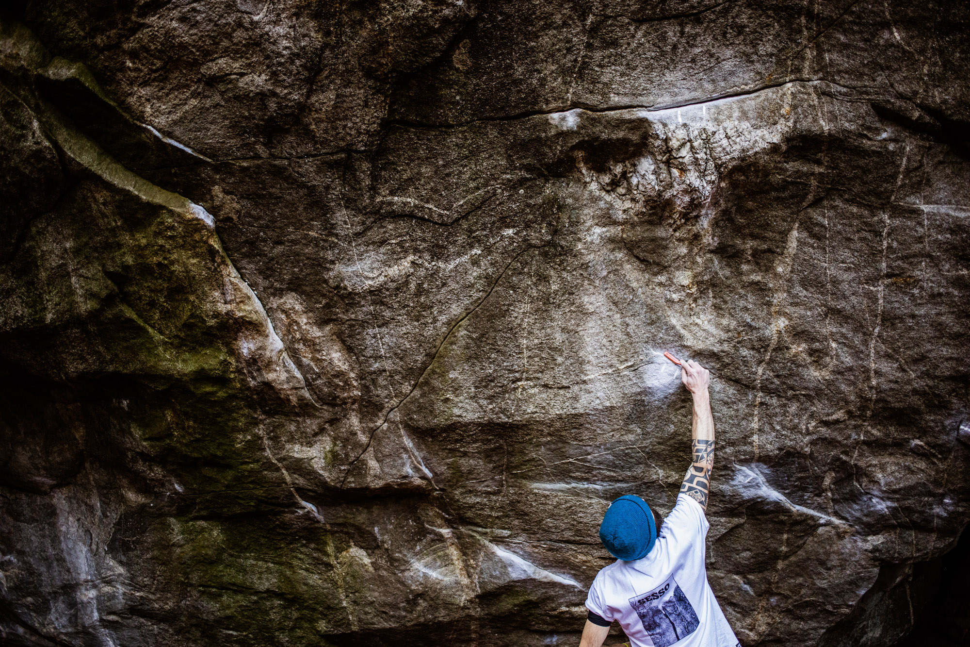 Cristian Bubani - Veccio Leone - Brione