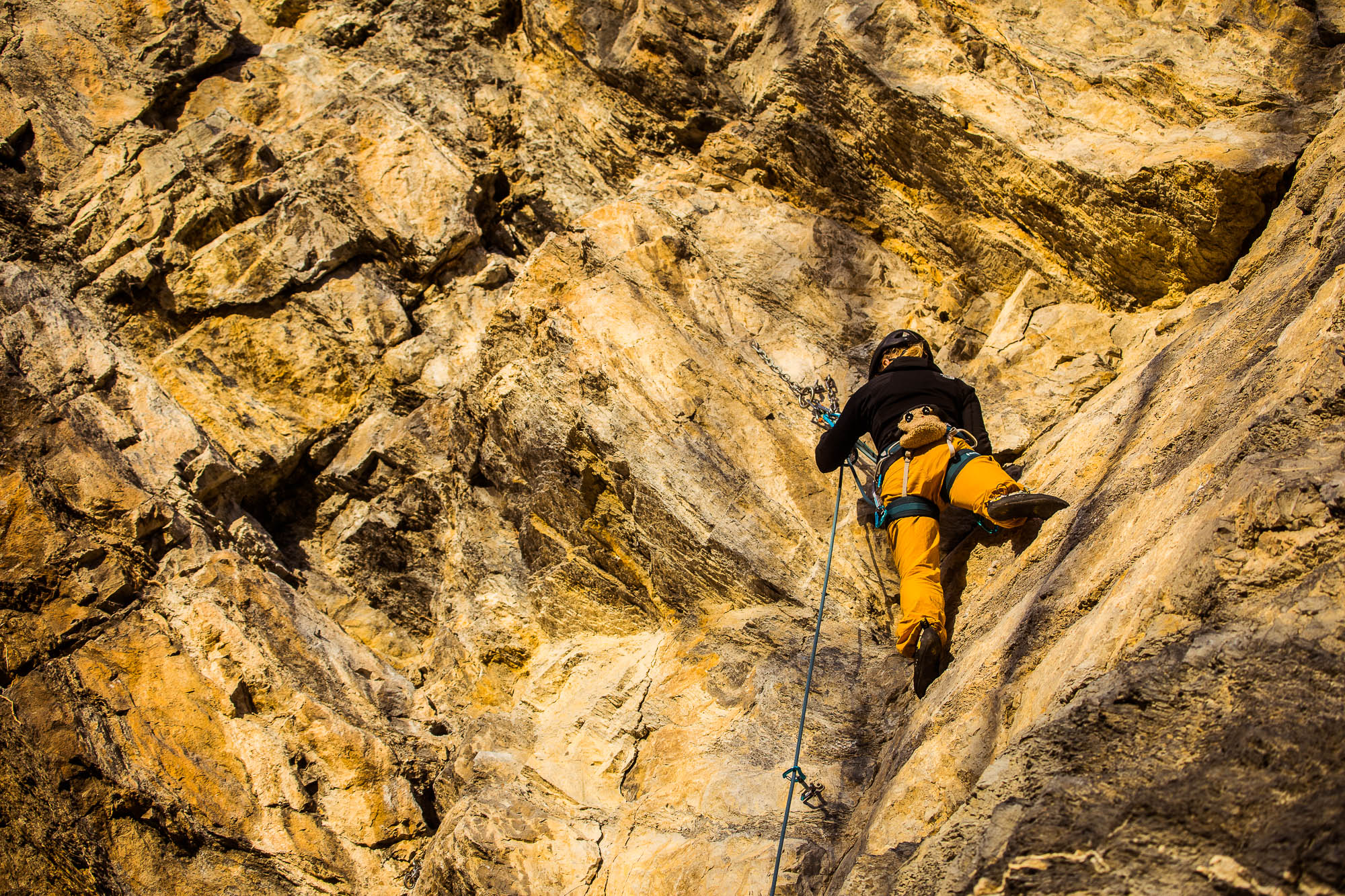 Export x3 5D4 9329 Climbing