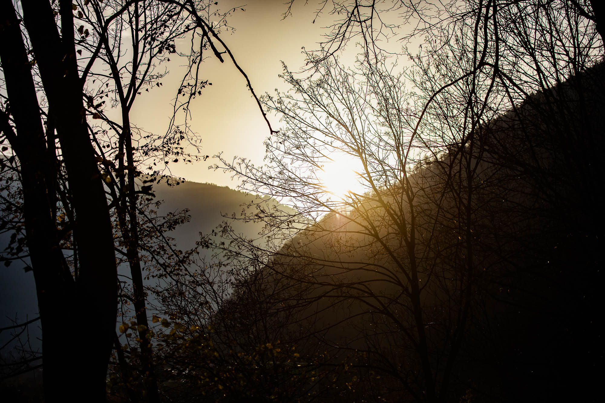 Export x3 5D4 9341 Climbing