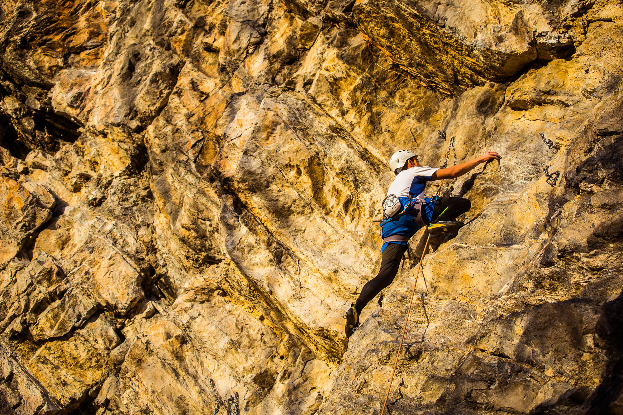 Export x3 5D4 9366 Climbing