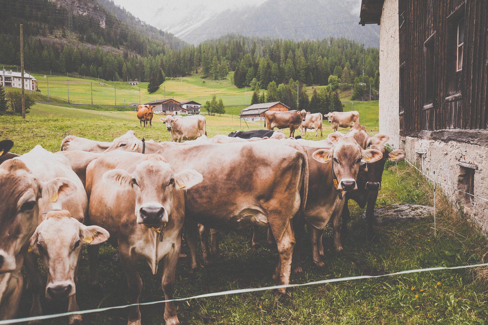 Nina und Richard hochzeit berguen kurhaus 0910