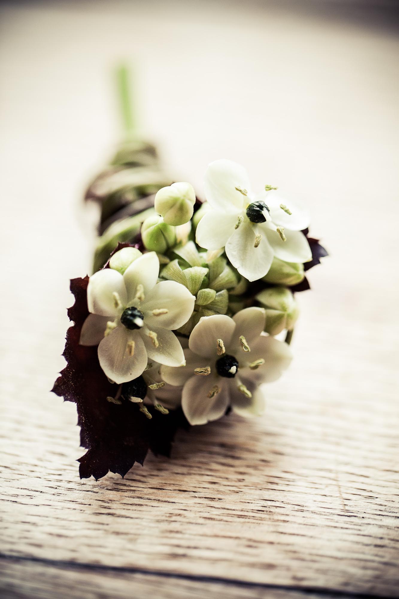 Eva und Andy Villa villa sunneschyn ritterhaus bubikon 0099