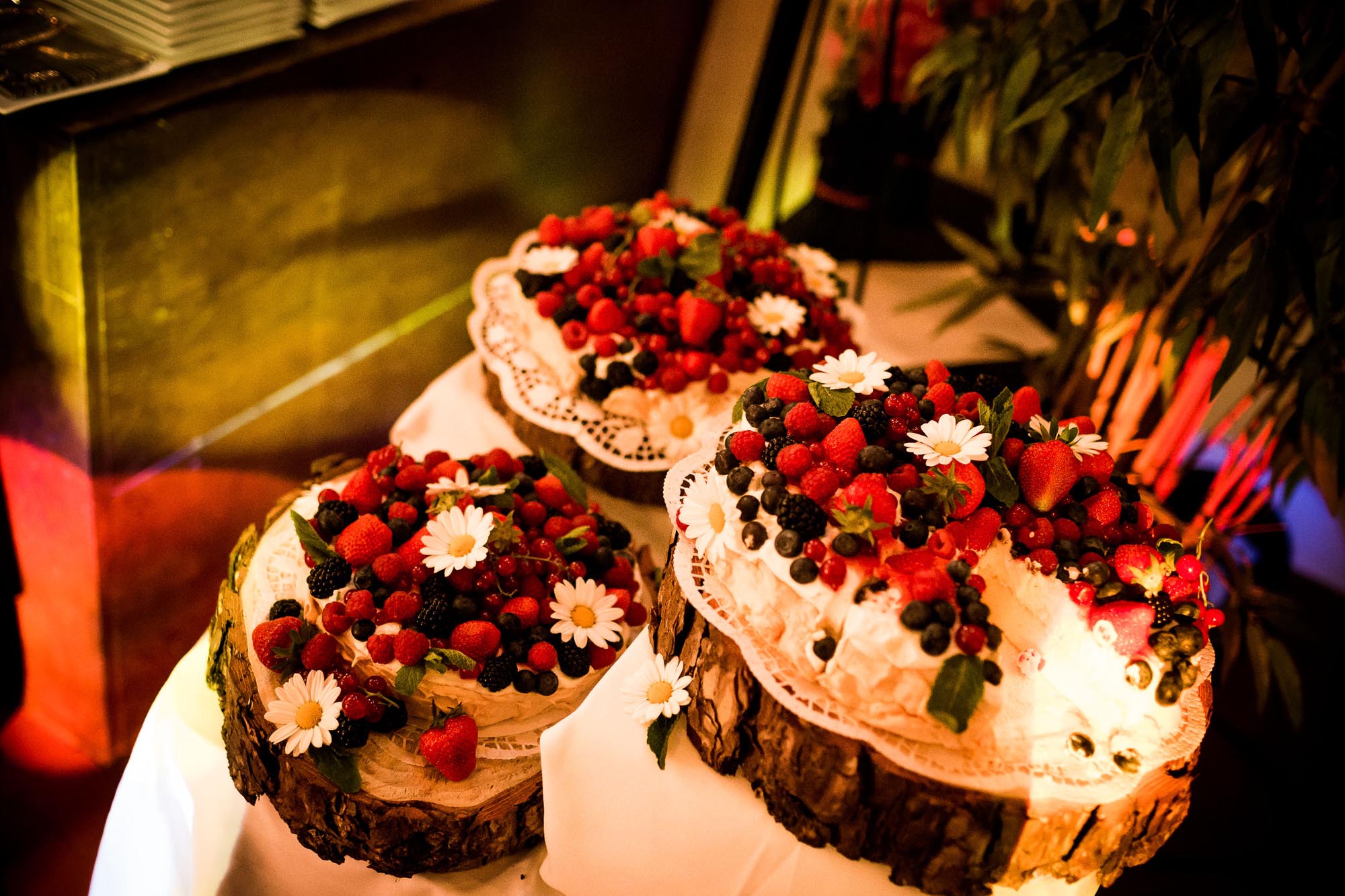 Eva und Andy Villa villa sunneschyn ritterhaus bubikon 3499