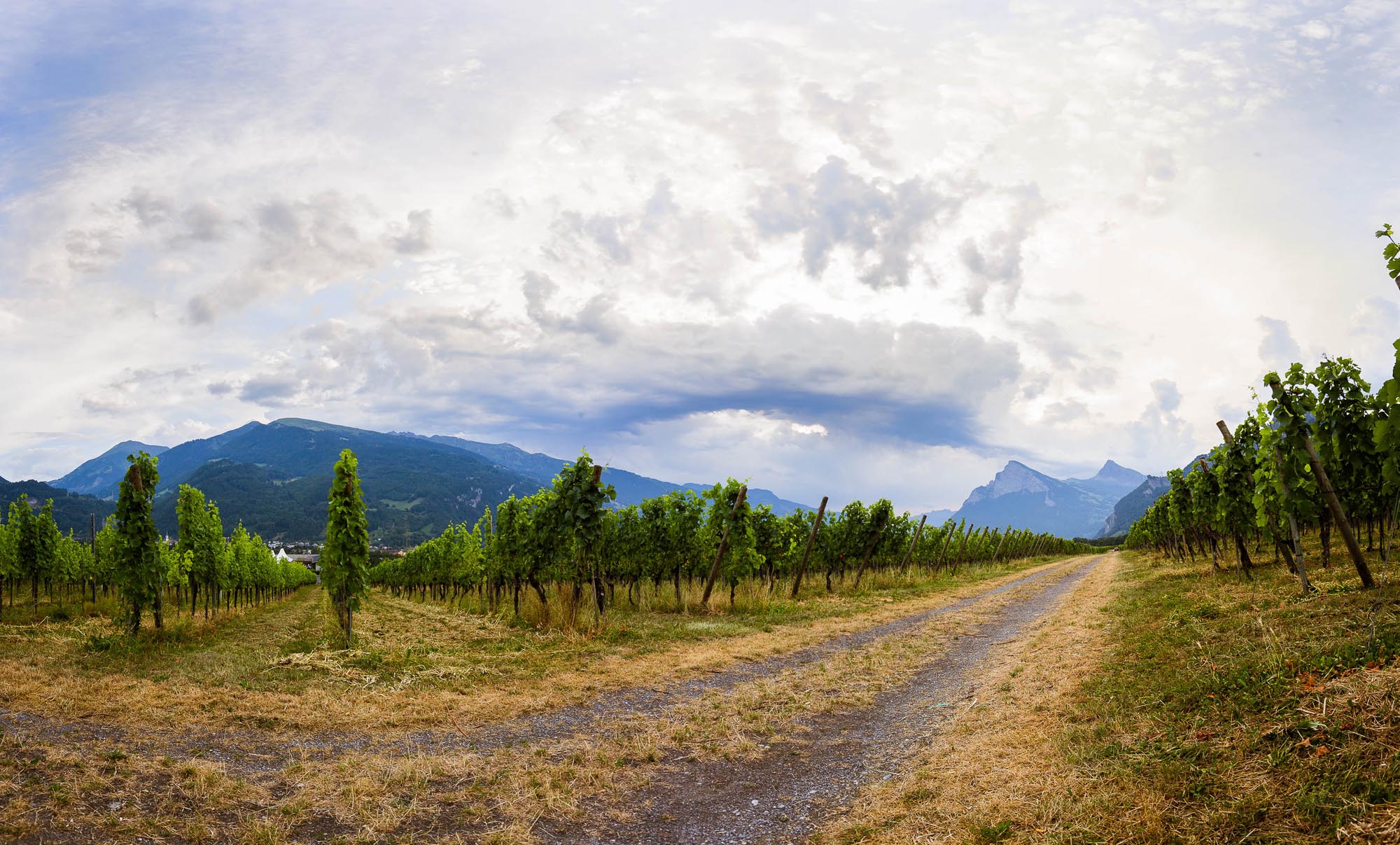 Isabelle und Renato  3