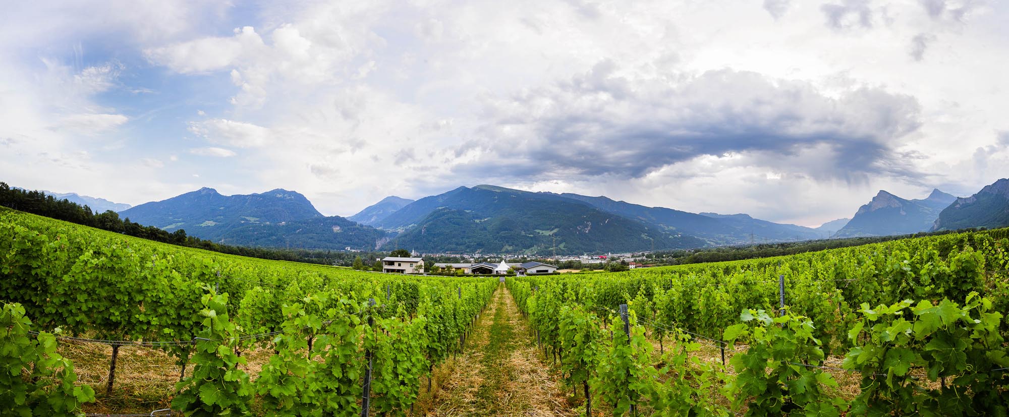 Isabelle und Renato  5