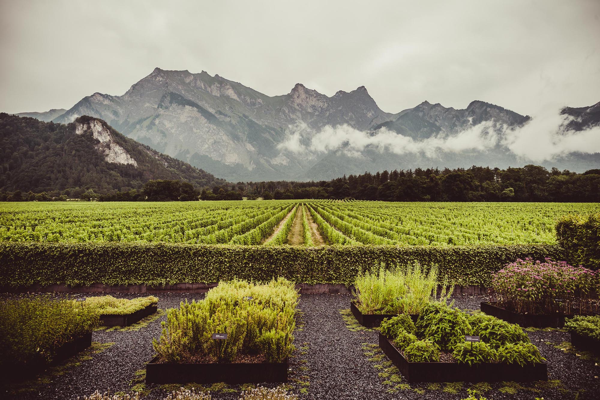 Isabelle und Renato 0103