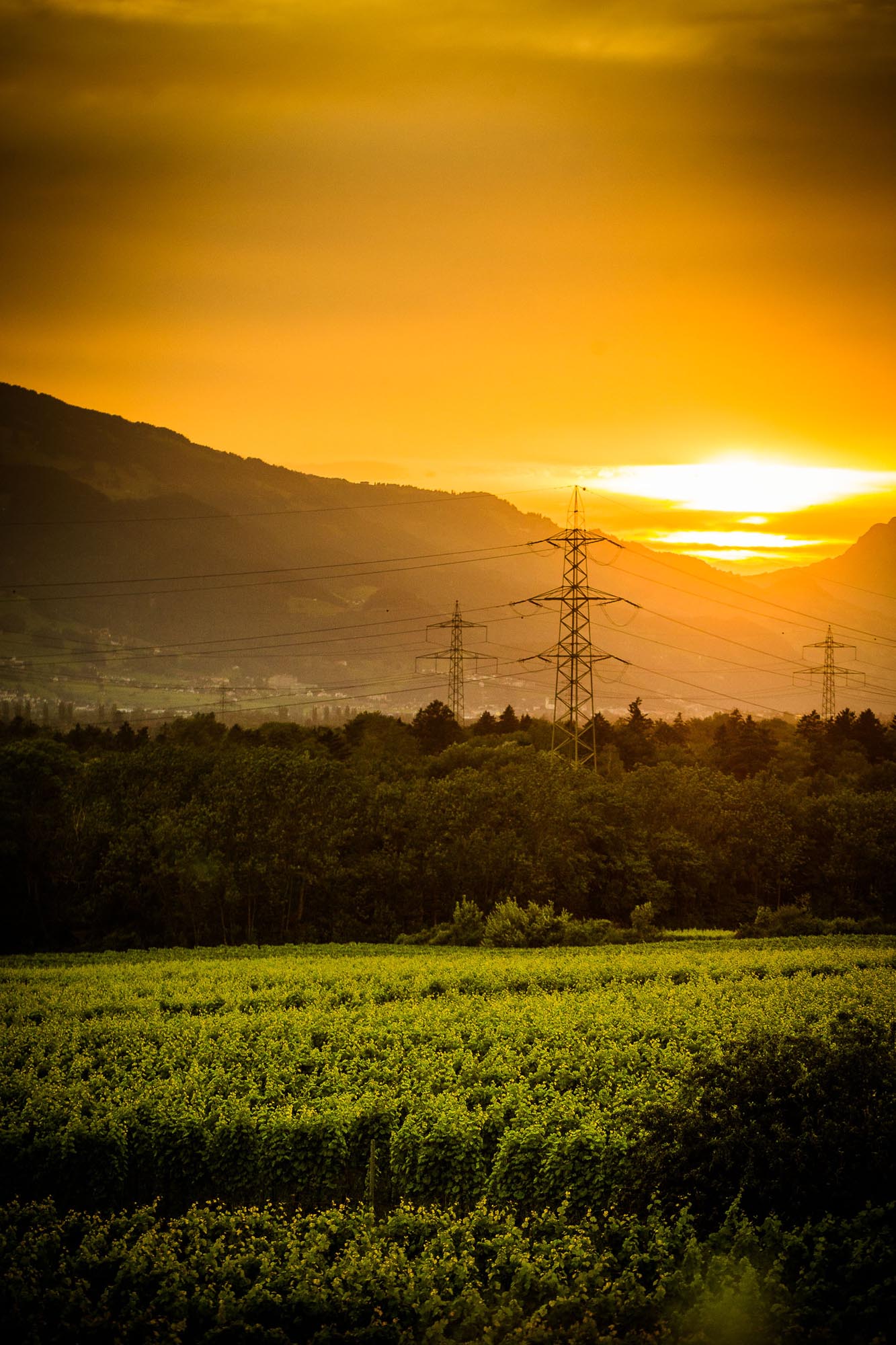 Isabelle und Renato 0600