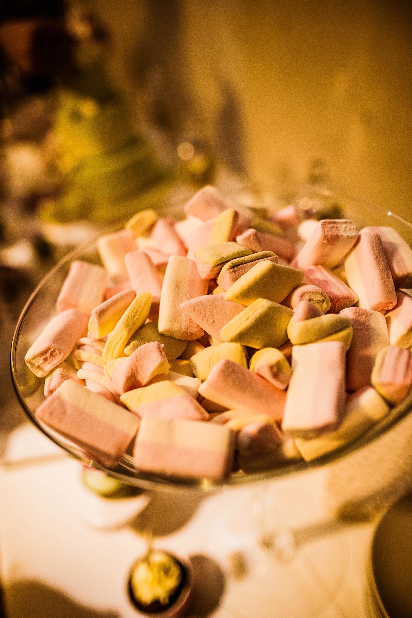 Isabelle und Renato 1014