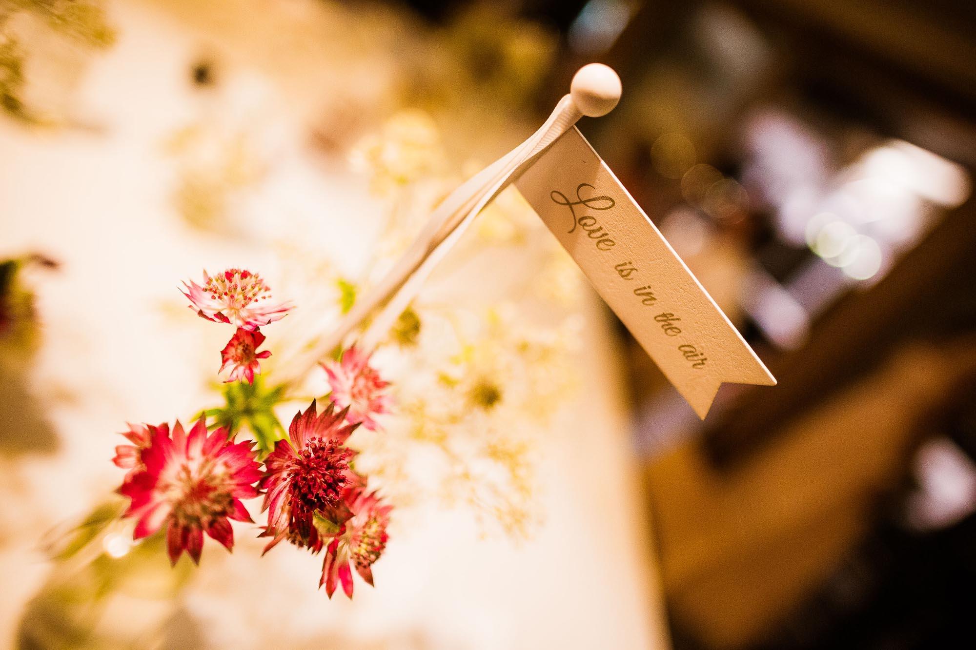 Isabelle und Renato 1042