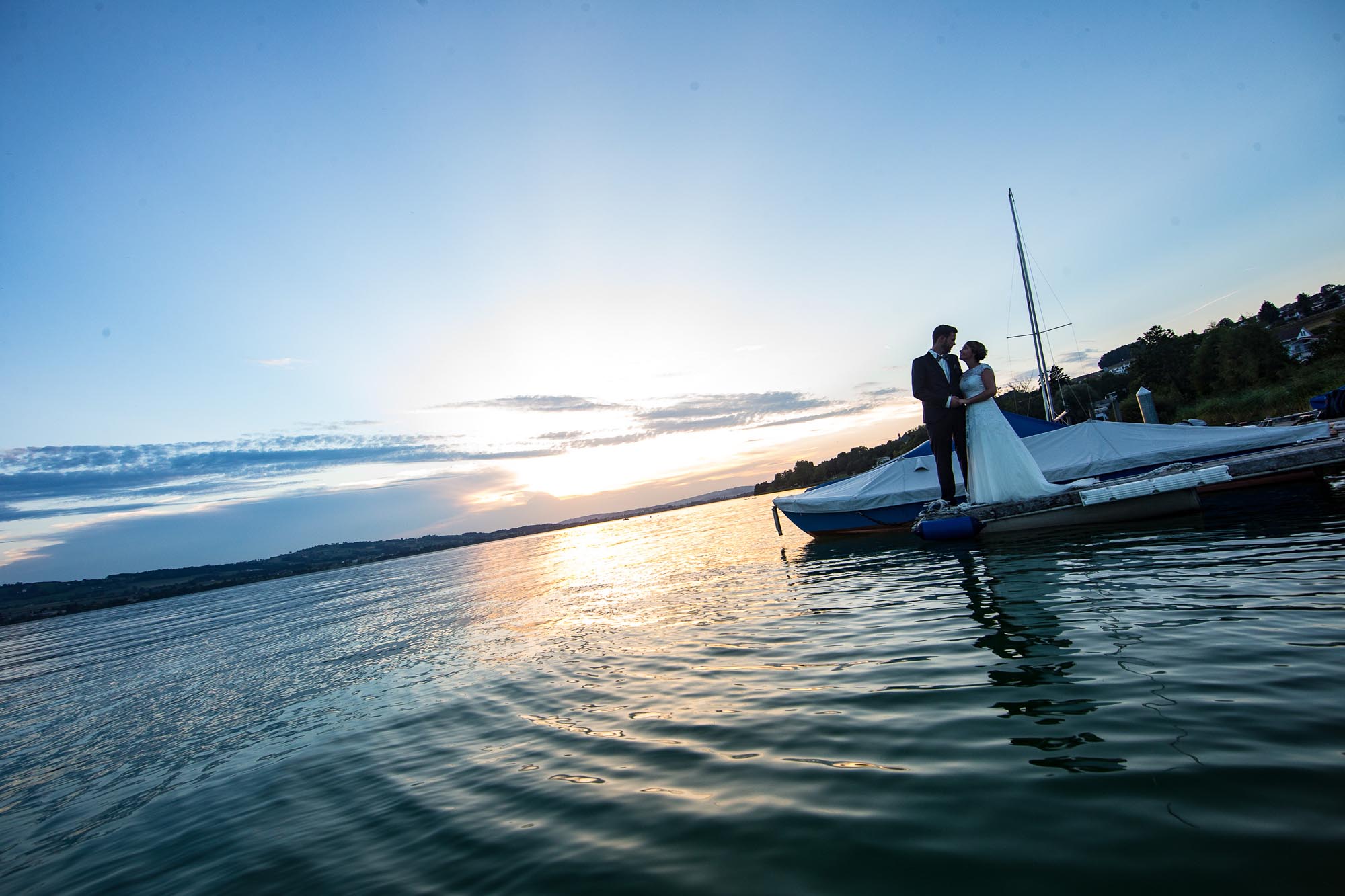 Export medium 3194 3