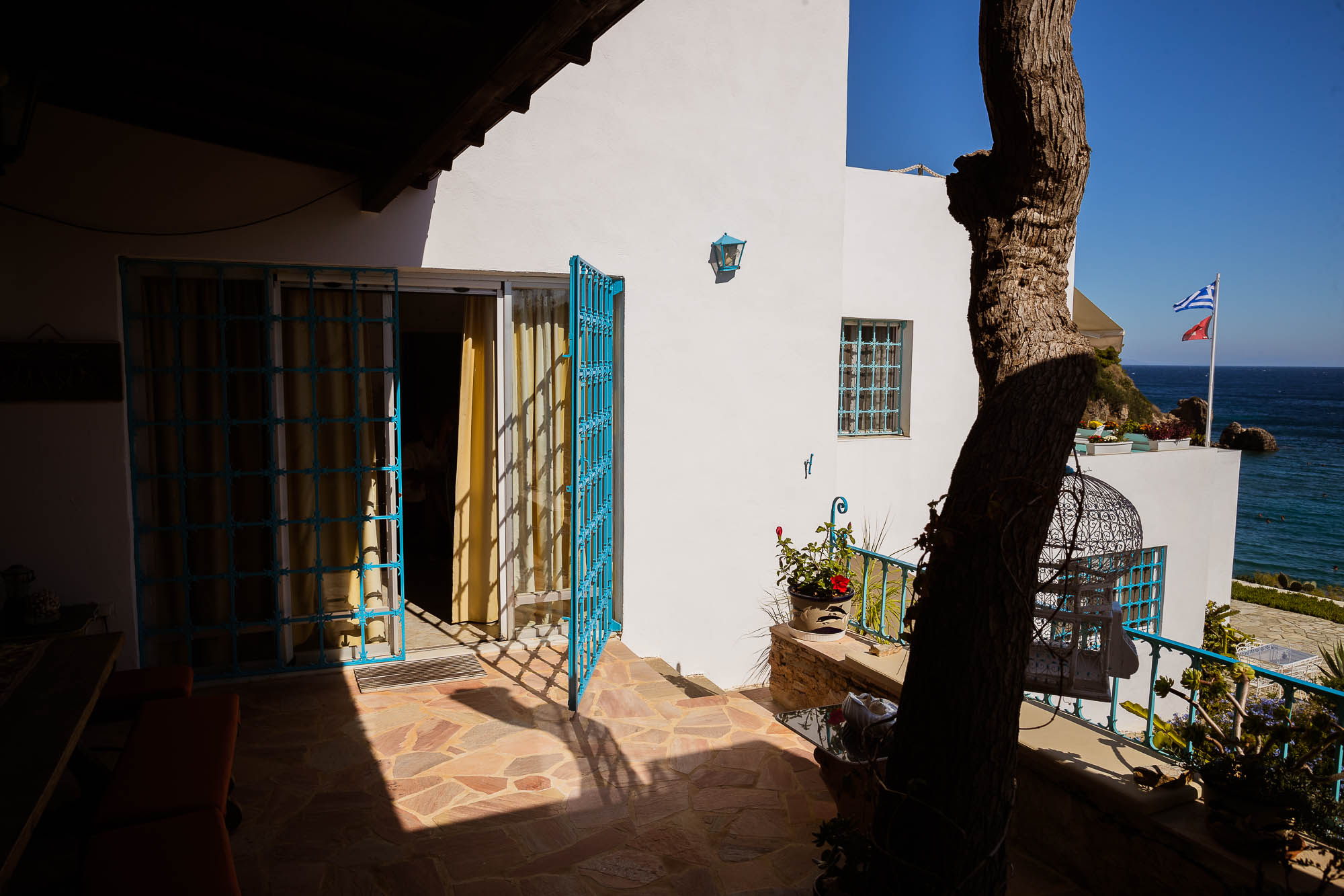 Export x3 1DX22354 Reportage