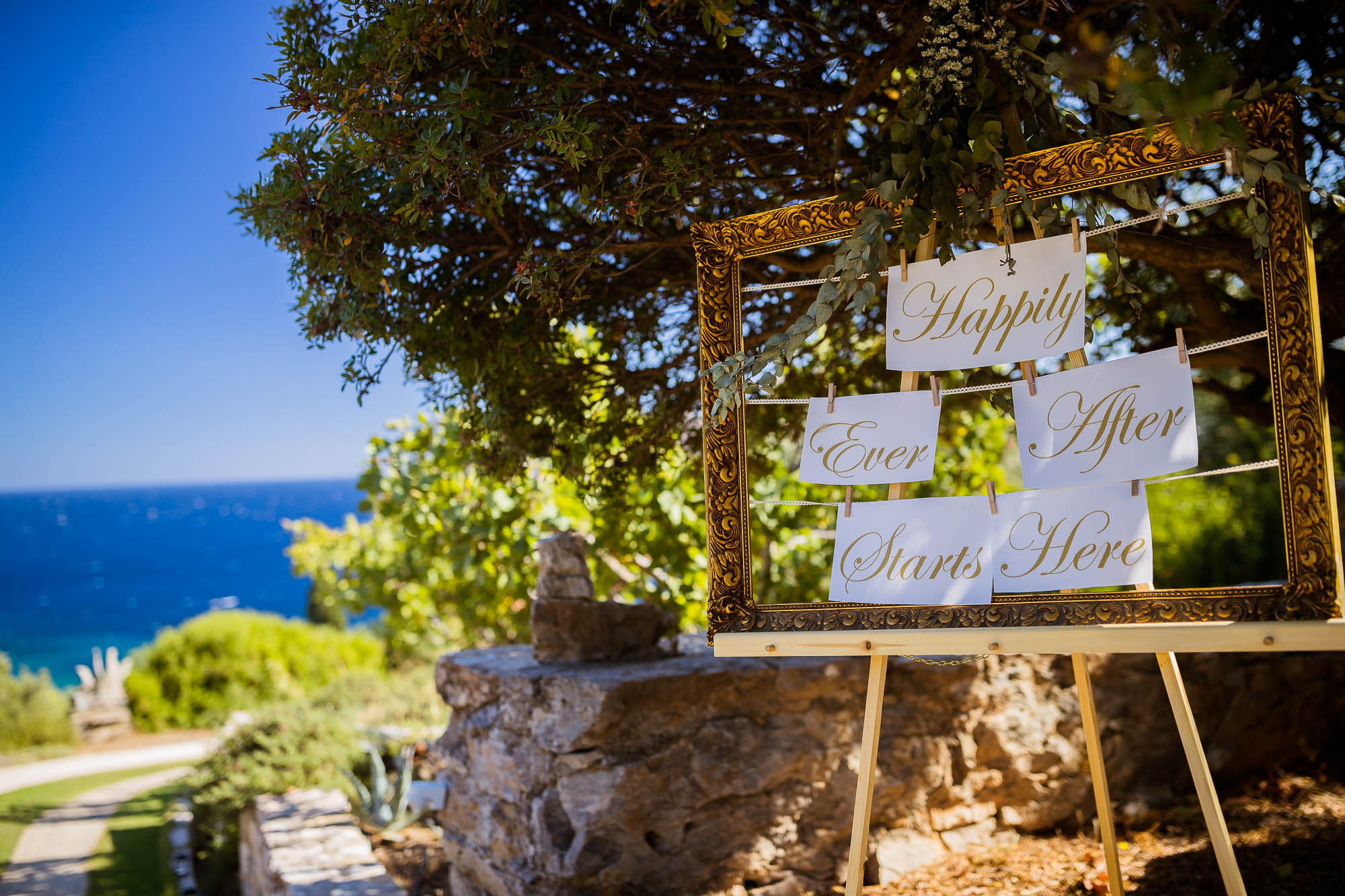 Export x3 1DX22593 Reportage