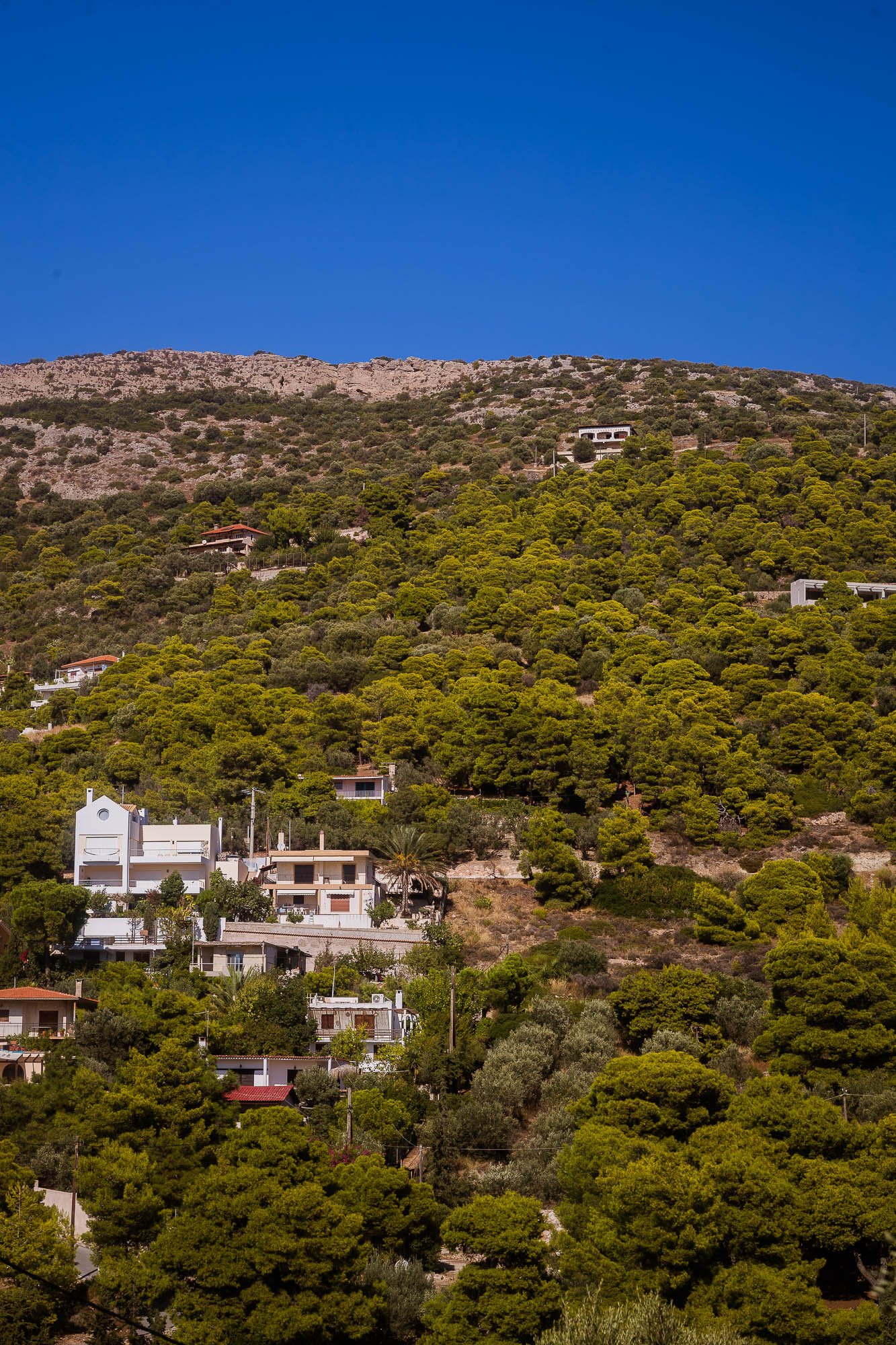 Export x3 1DX22599 Reportage