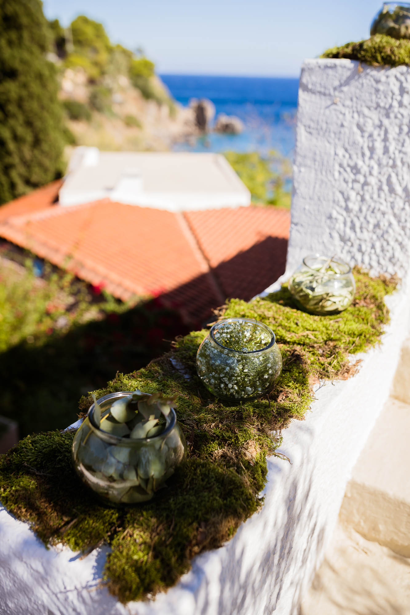 Export x3 1DX22654 Reportage