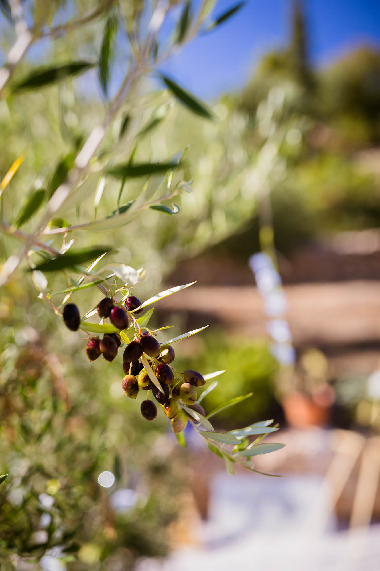 Export x3 1DX22667 Reportage