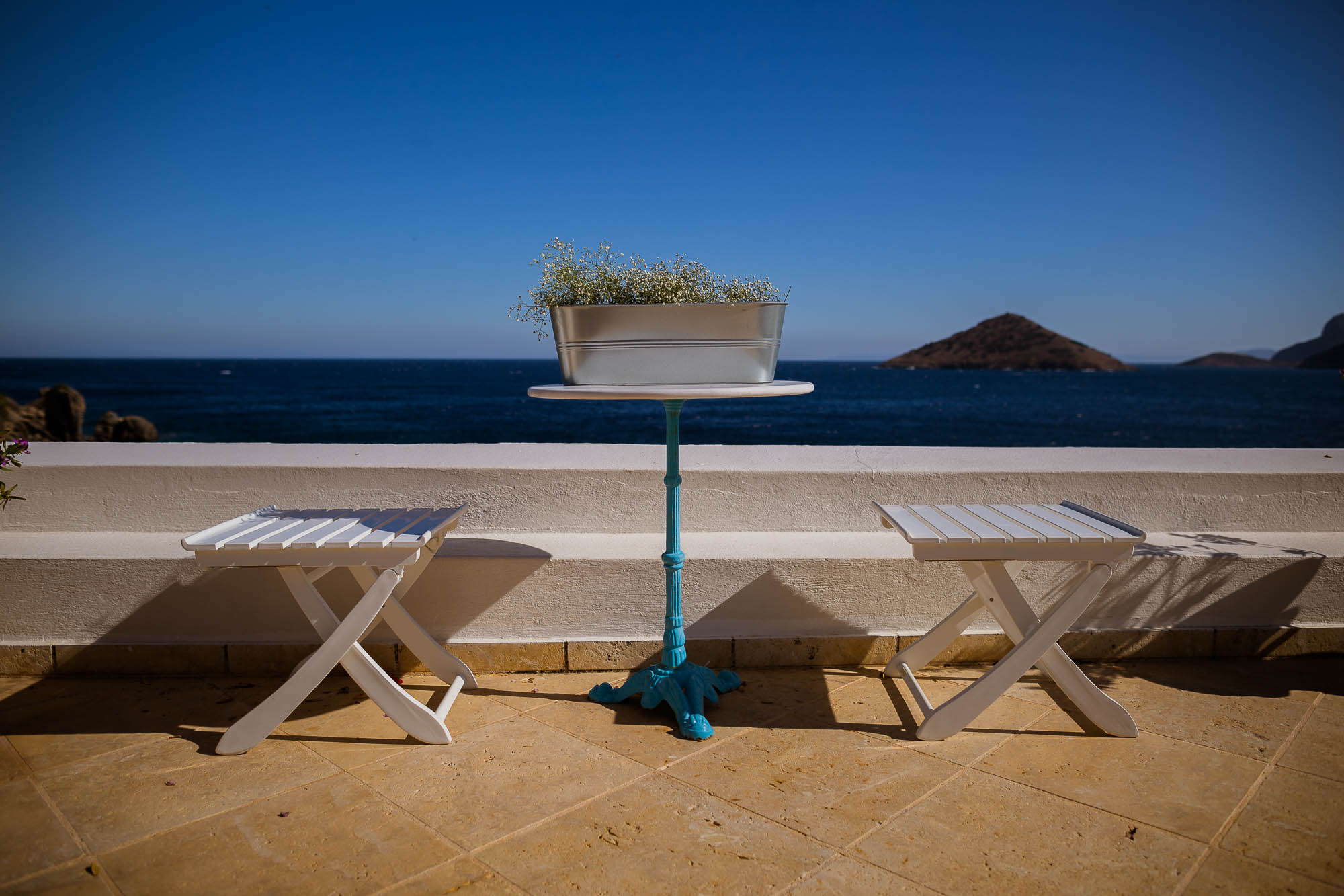 Export x3 1DX22674 Reportage