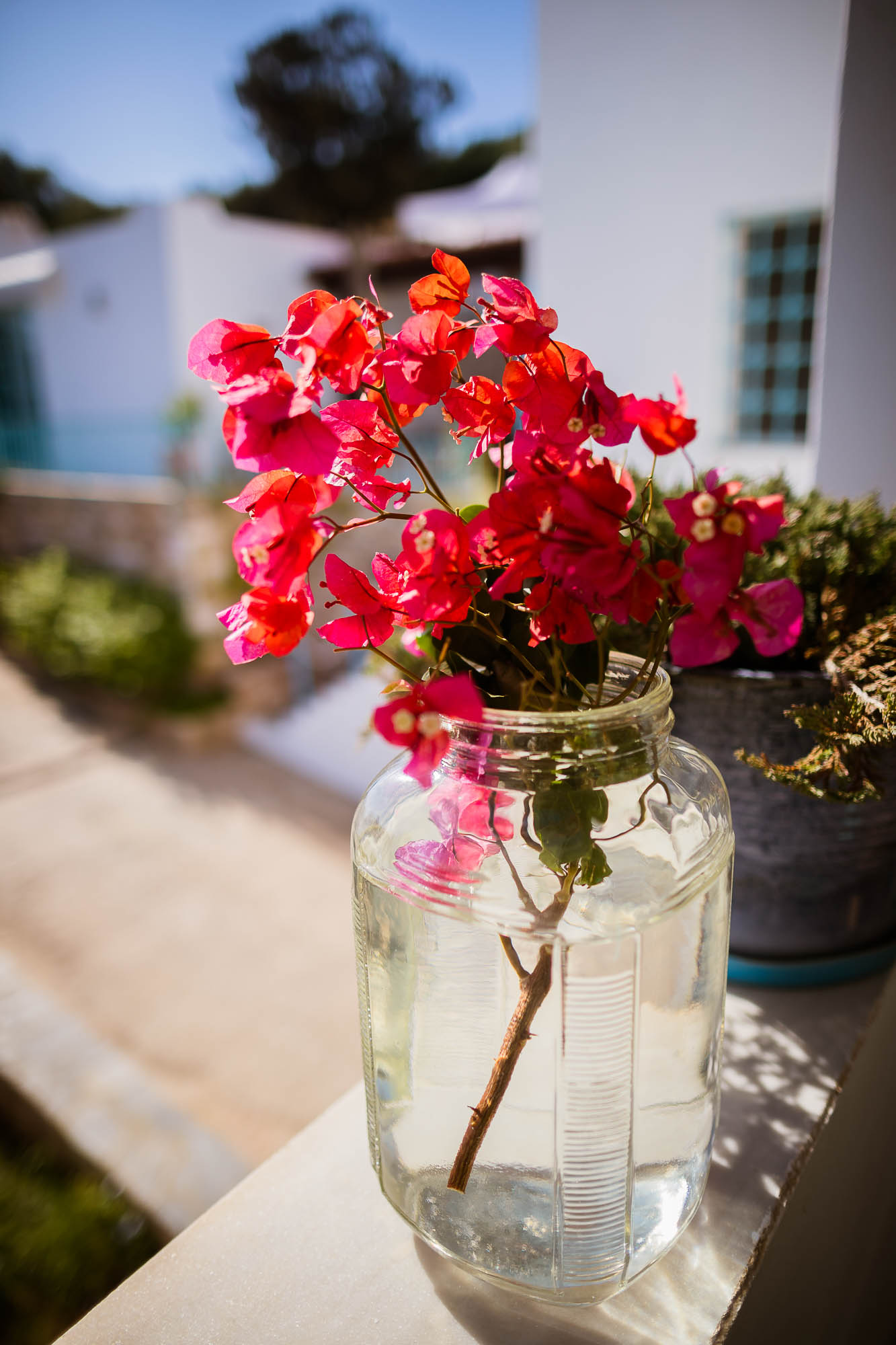 Export x3 1DX22675 Reportage