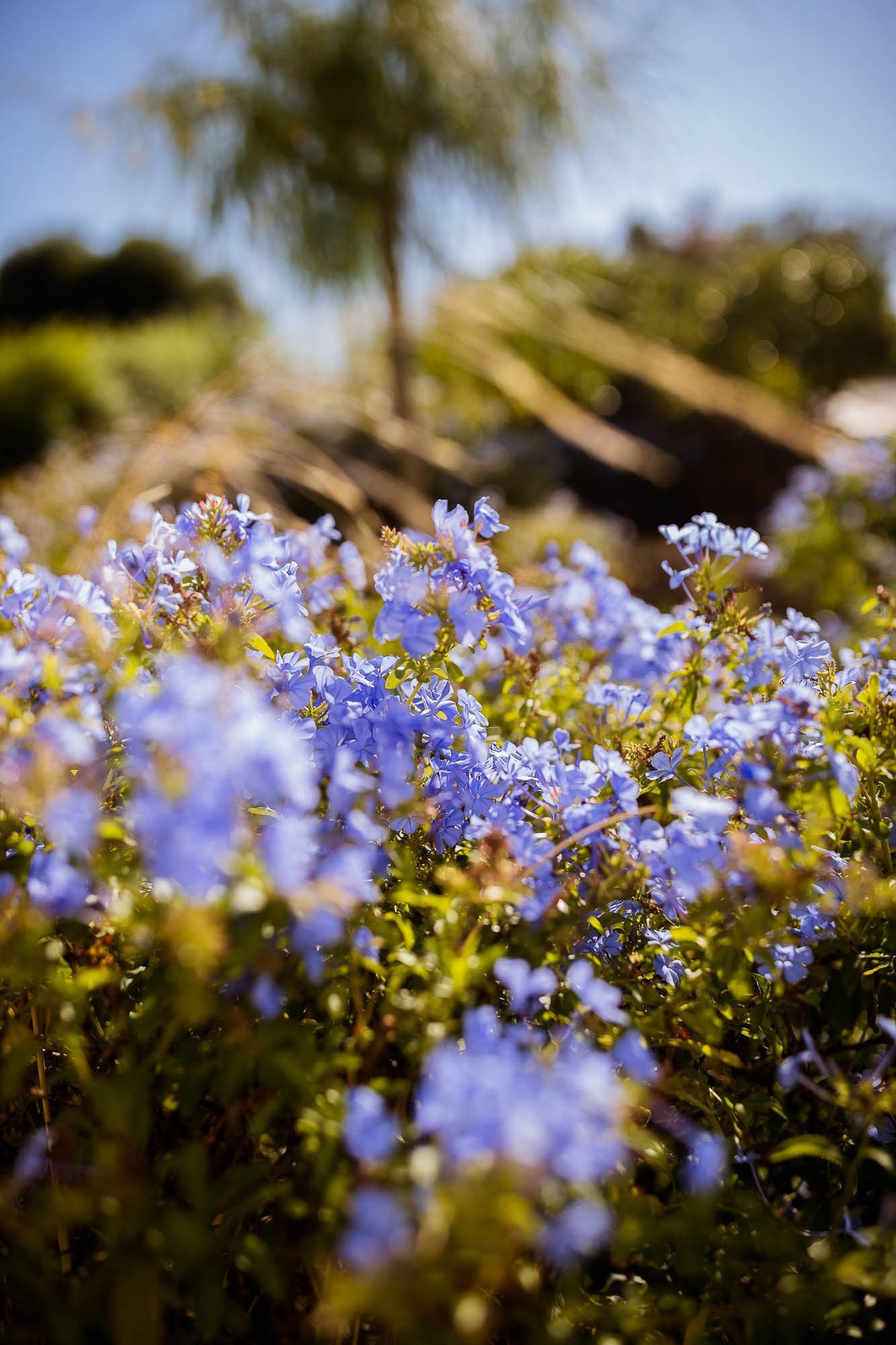 Export x3 1DX22700 Reportage