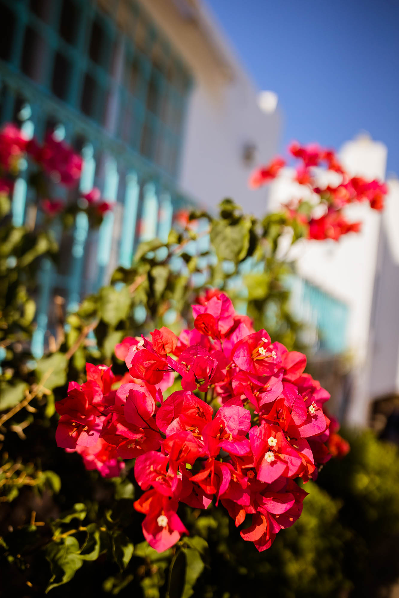 Export x3 1DX22716 Reportage