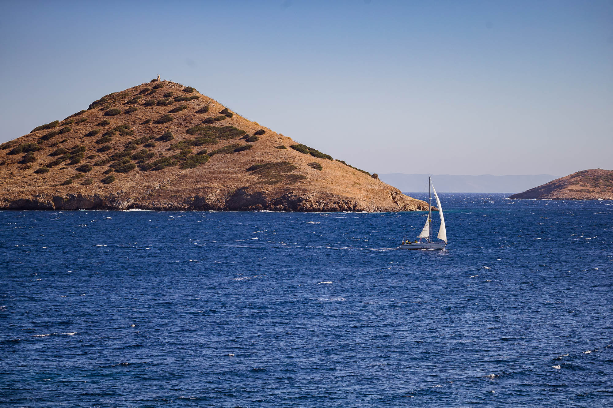 Export x3 1DX22753 Reportage