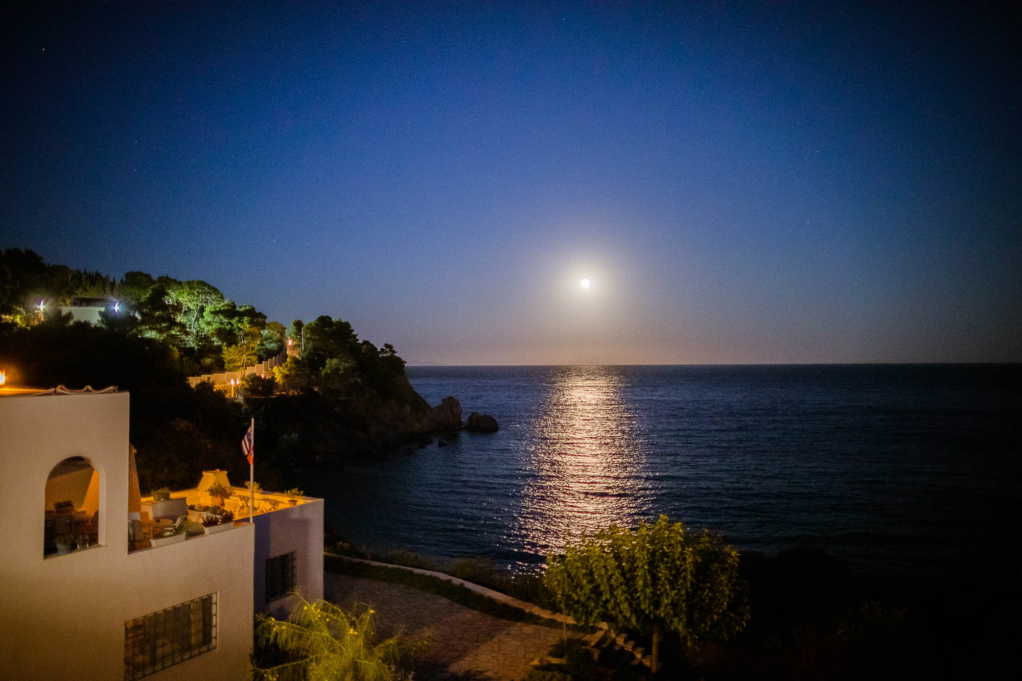 Export x3 1DX24531 Reportage