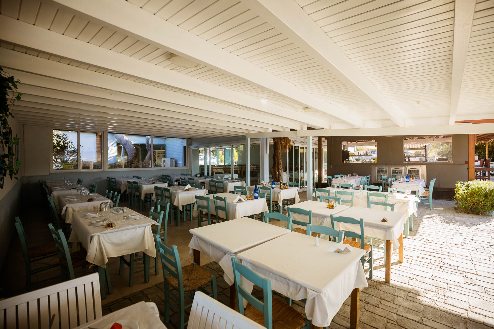 Export x3 5D4 8288 Reportage