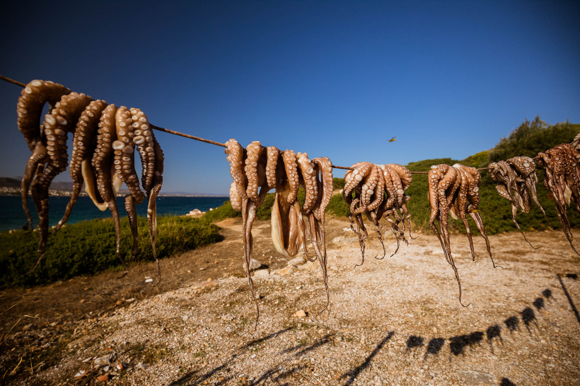 Export x3 5D4 8292 Reportage