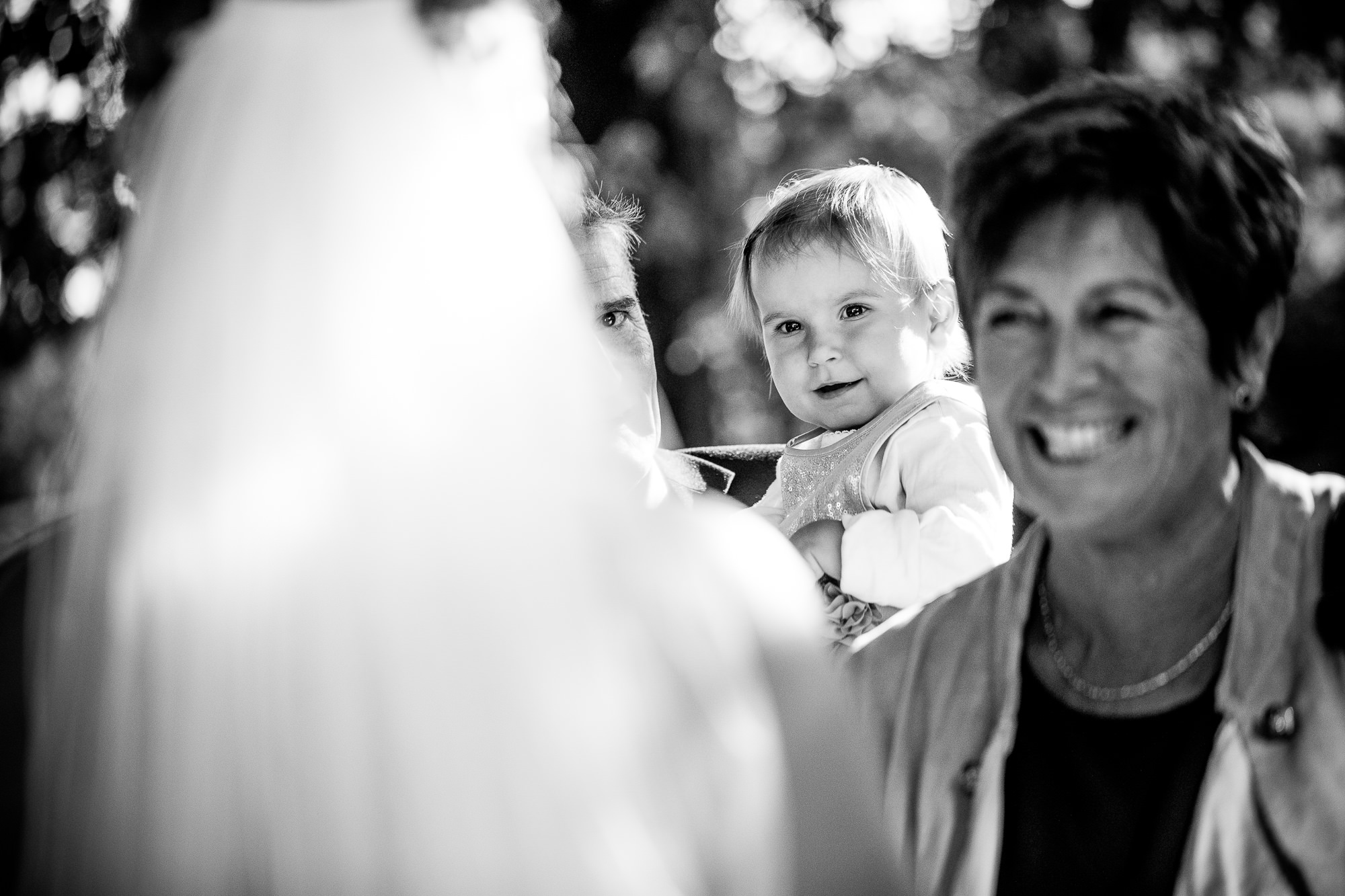 Export x3 5D4 9378 WEDDING