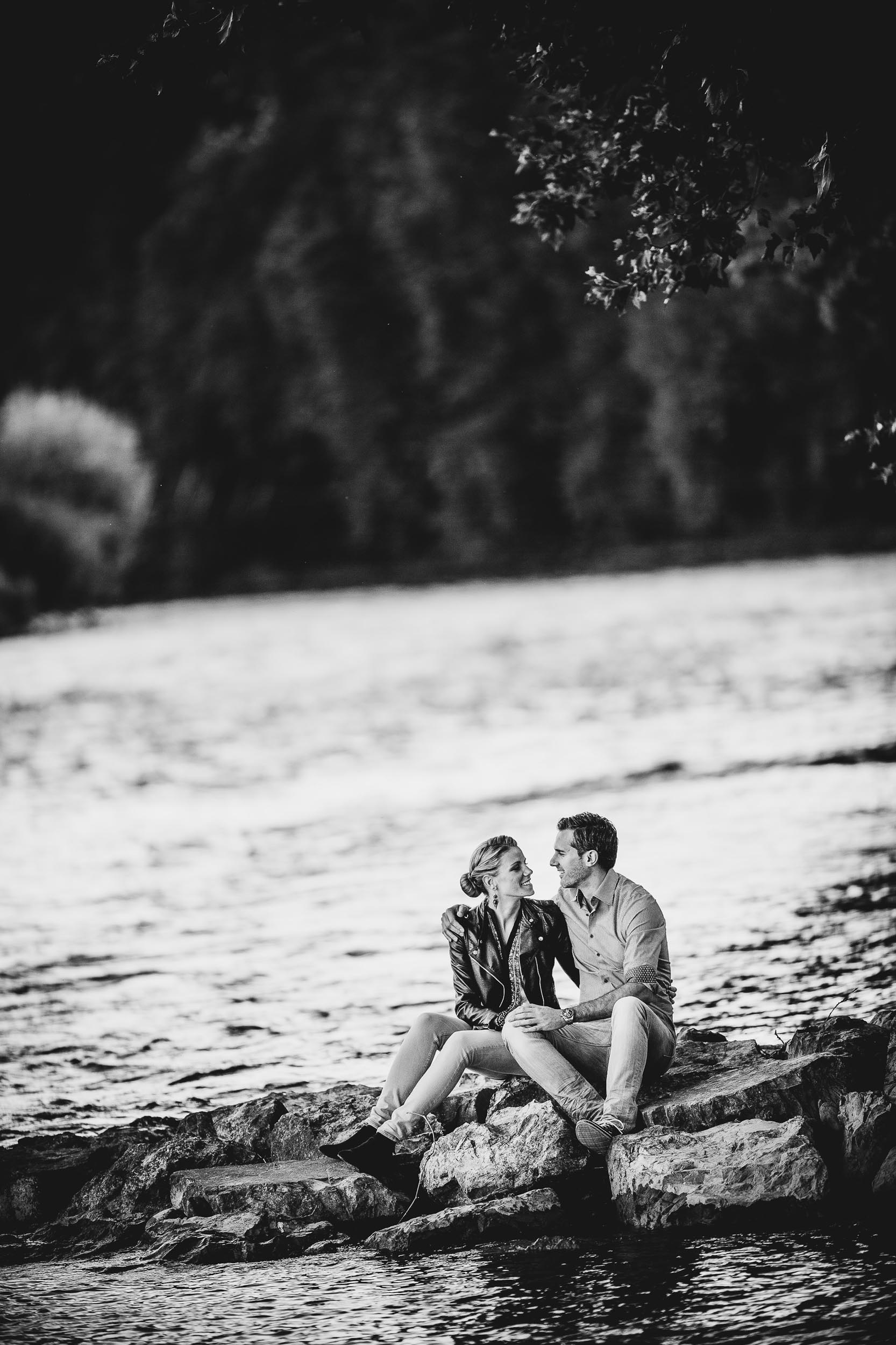 Export medium 6186 2